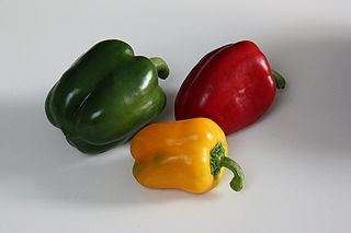 photo from Wikipedia, green-yellow-red peppers